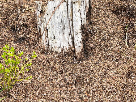 23-04-30 10-49-39 5230